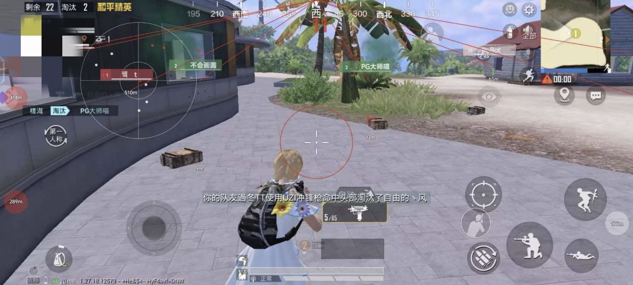 和平精英辅助【极目】